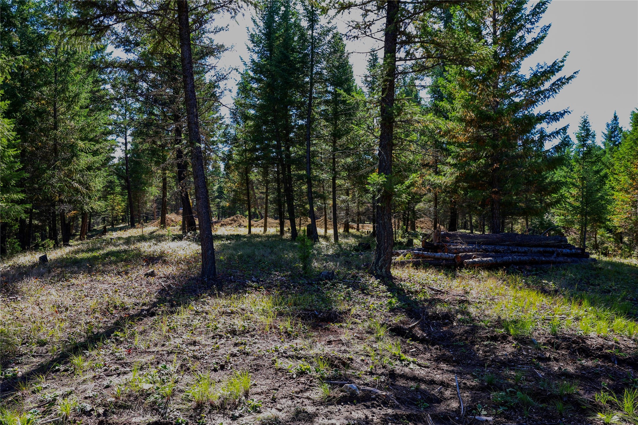 LOT 2 Tobacco Road