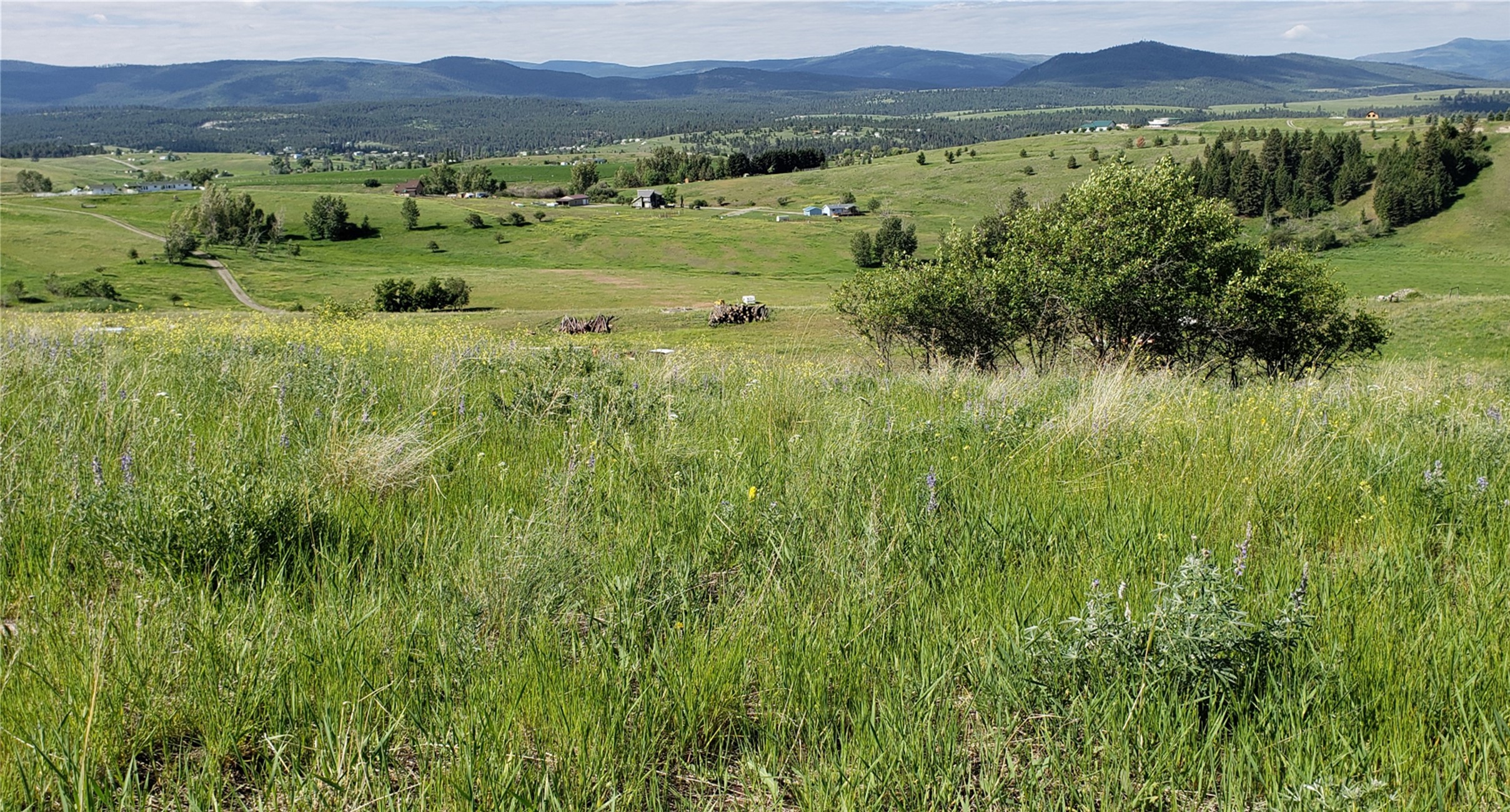 172 Grassy Loop