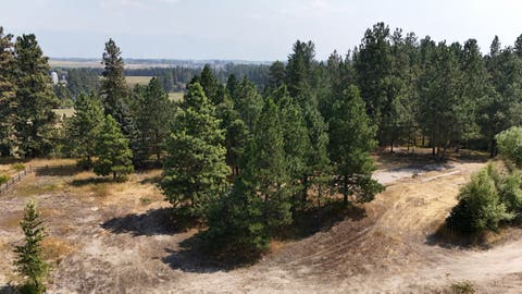 Tiny photo for 597 Church Drive, Kalispell, MT 59901 (MLS # 30076825)