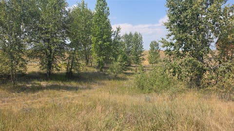 Tiny photo for 597 Church Drive, Kalispell, MT 59901 (MLS # 30076825)