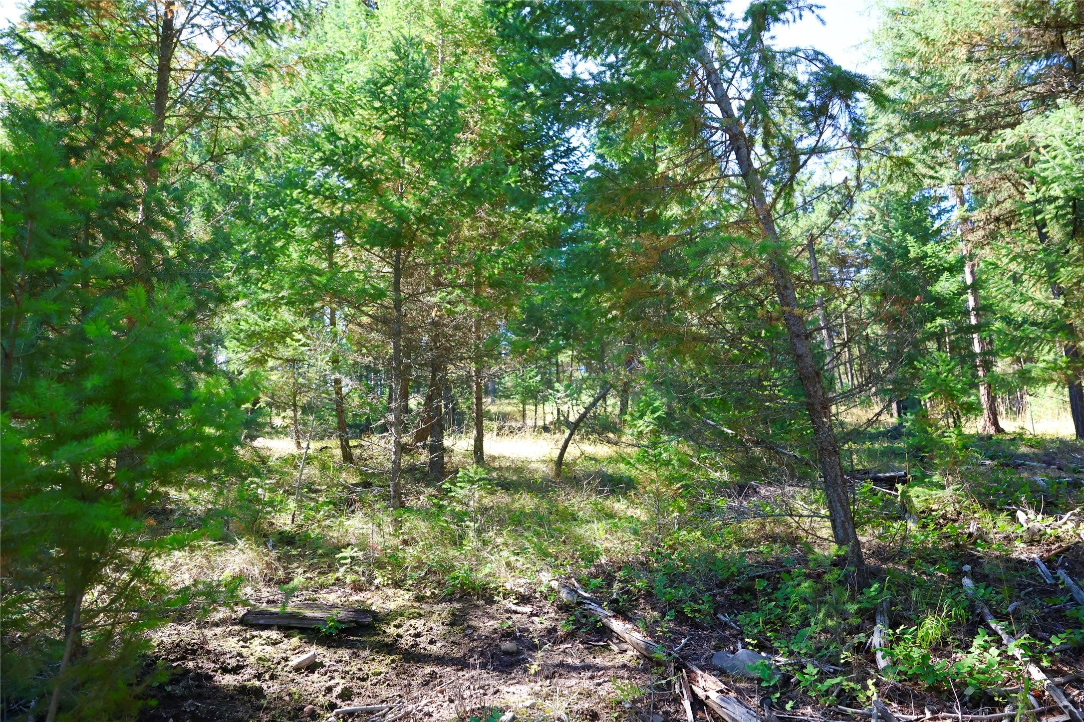 LOT 1 Tobacco Road
