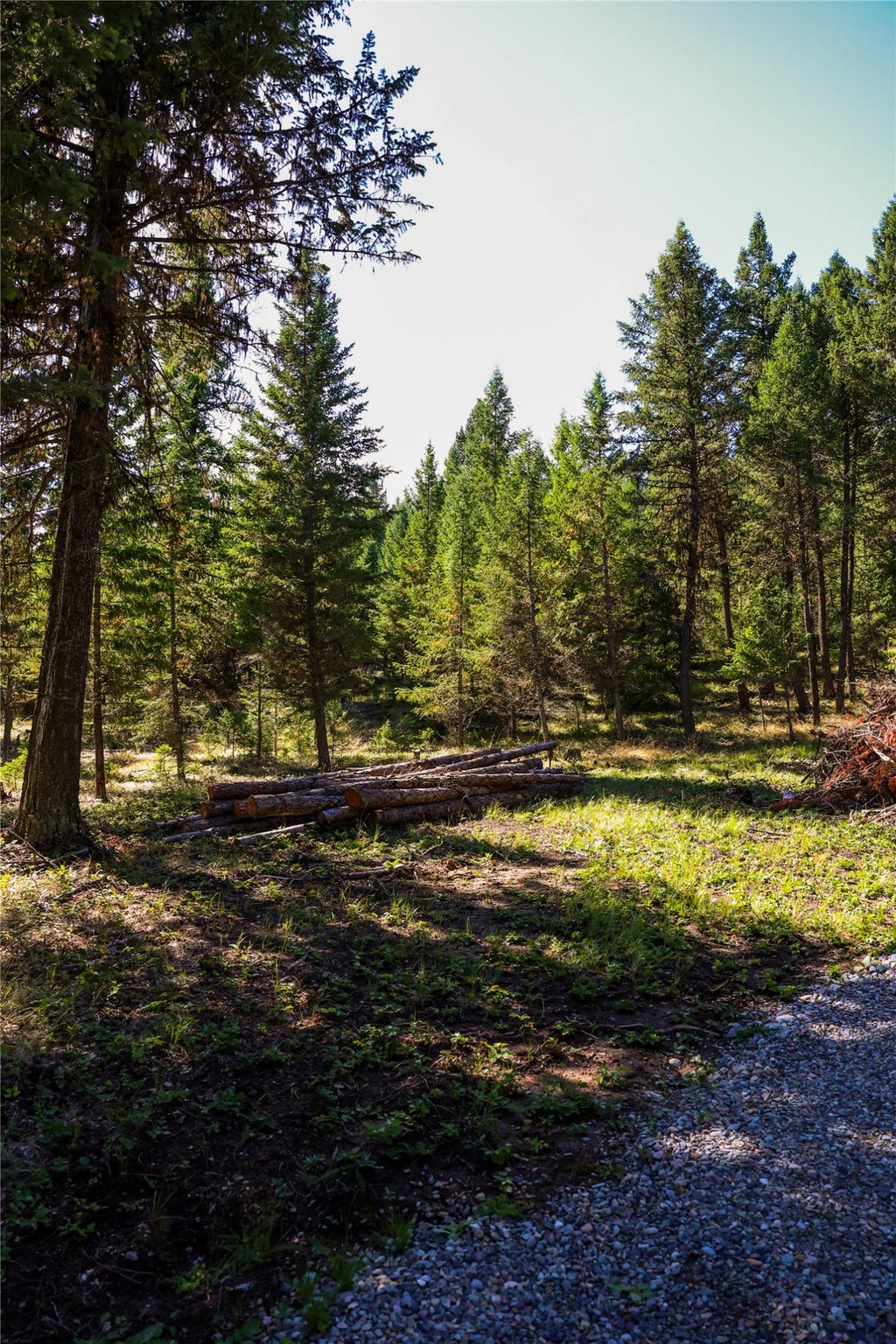 Photo of Lot 1 Tobacco Road, Eureka, MT 59917 (MLS # 30078600)