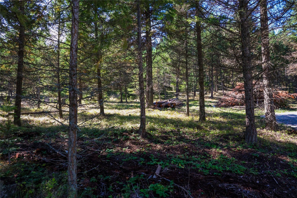 Photo of Lot 1 Tobacco Road, Eureka, MT 59917 (MLS # 30078600)