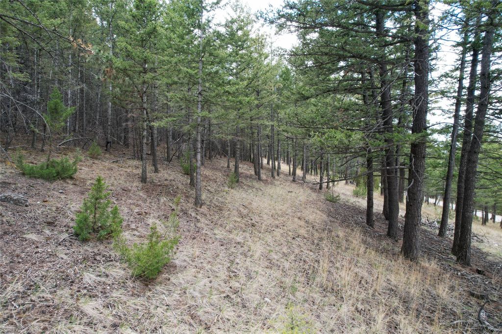 Photo of 291 S Hills Road, Clancy, MT 59634 (MLS # 30060912)
