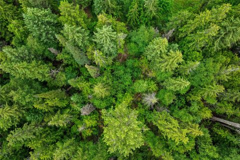 Tiny photo for 90 Woodland Star Circle, Whitefish, MT 59937 (MLS # 30055456)