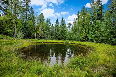 Tiny photo for 90 Woodland Star Circle, Whitefish, MT 59937 (MLS # 30055456)