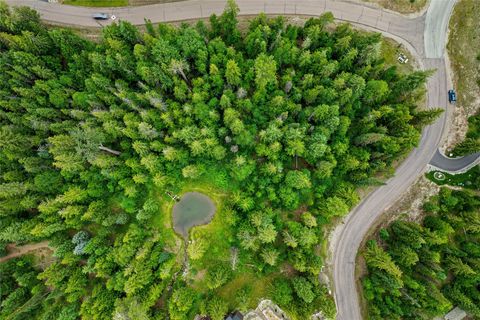 Tiny photo for 90 Woodland Star Circle, Whitefish, MT 59937 (MLS # 30055456)