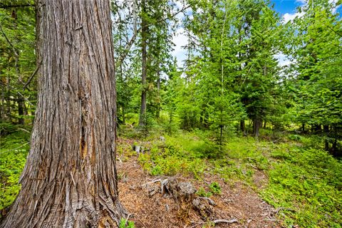 Tiny photo for 90 Woodland Star Circle, Whitefish, MT 59937 (MLS # 30055456)