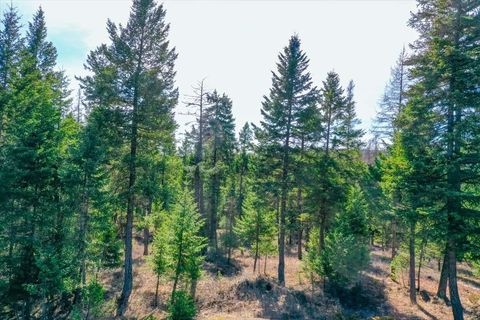 Tiny photo for 81 Scholar Lane, Whitefish, MT 59937 (MLS # 30068499)