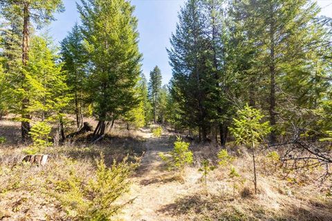 Tiny photo for 81 Scholar Lane, Whitefish, MT 59937 (MLS # 30068499)
