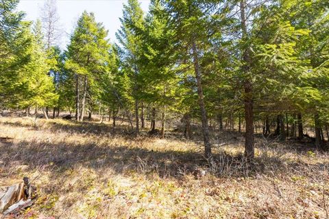 Tiny photo for 81 Scholar Lane, Whitefish, MT 59937 (MLS # 30068499)