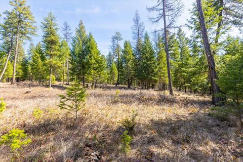 Tiny photo for 81 Scholar Lane, Whitefish, MT 59937 (MLS # 30068499)