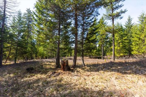 Tiny photo for 81 Scholar Lane, Whitefish, MT 59937 (MLS # 30068499)