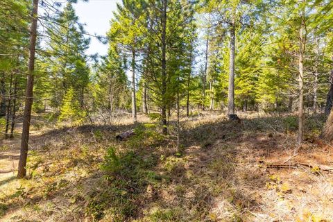 Tiny photo for 81 Scholar Lane, Whitefish, MT 59937 (MLS # 30068499)
