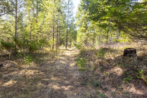 Tiny photo for 81 Scholar Lane, Whitefish, MT 59937 (MLS # 30068499)