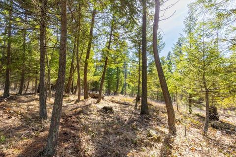 Tiny photo for 81 Scholar Lane, Whitefish, MT 59937 (MLS # 30068499)