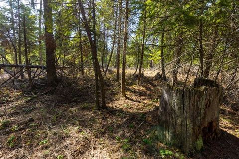 Tiny photo for 81 Scholar Lane, Whitefish, MT 59937 (MLS # 30068499)