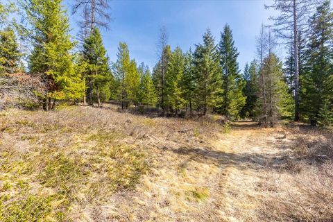 Tiny photo for 81 Scholar Lane, Whitefish, MT 59937 (MLS # 30068499)