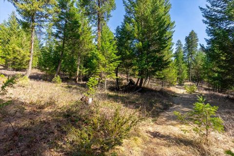 Tiny photo for 81 Scholar Lane, Whitefish, MT 59937 (MLS # 30068499)