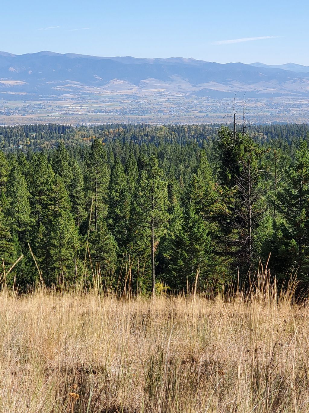 Photo of na Elizabeth Road, Victor, MT 59875 (MLS # 30063692)