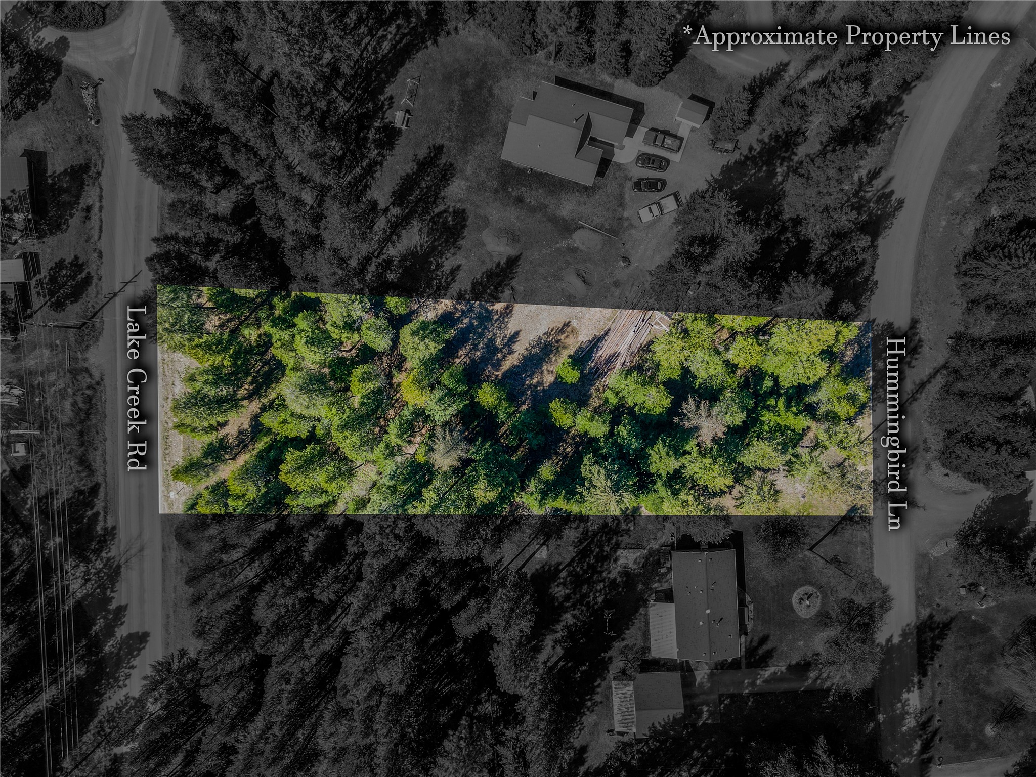 NHN Hummingbird Lane