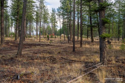 Lot 49 Basin Bend Eureka MT 59917