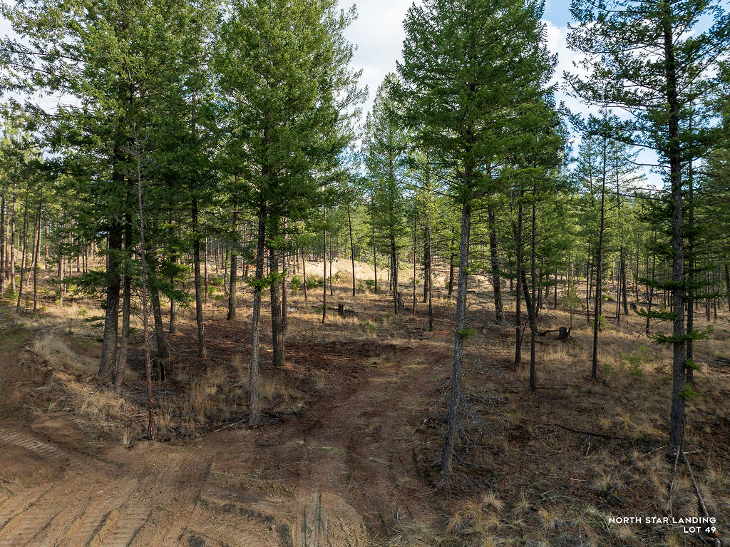 Lot 49 Basin Bend North Star Landing