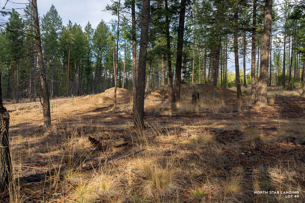 Lot 49 Basin Bend North Star Landing
