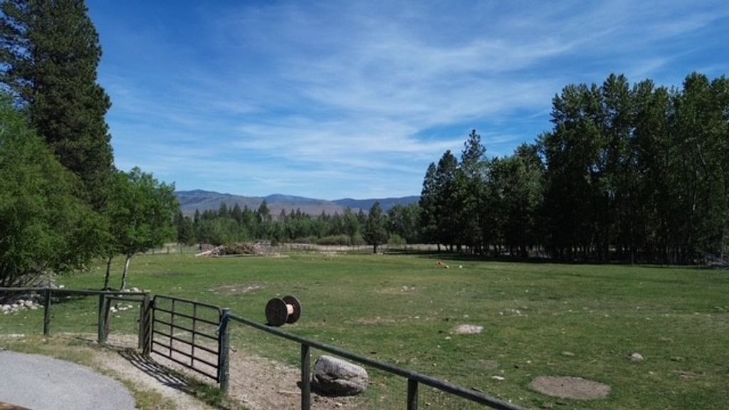 Photo of 990 Timber Point Lane, Hamilton, MT 59840 (MLS # 30071069)