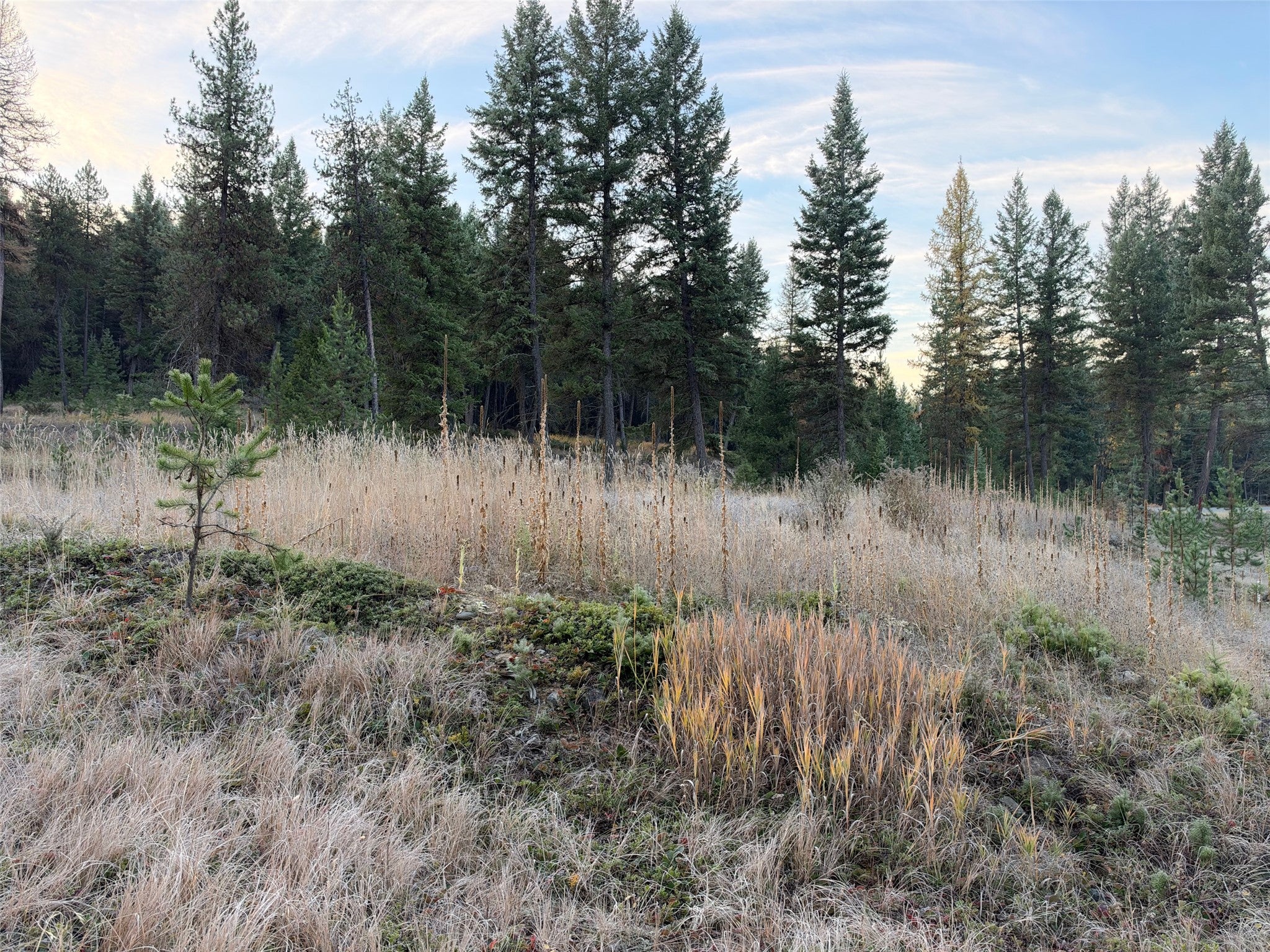 NHN Glen Lake Road