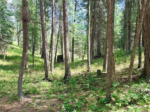 Tiny photo for 285 N Many Lakes Drive, Kalispell, MT 59901 (MLS # 30070580)