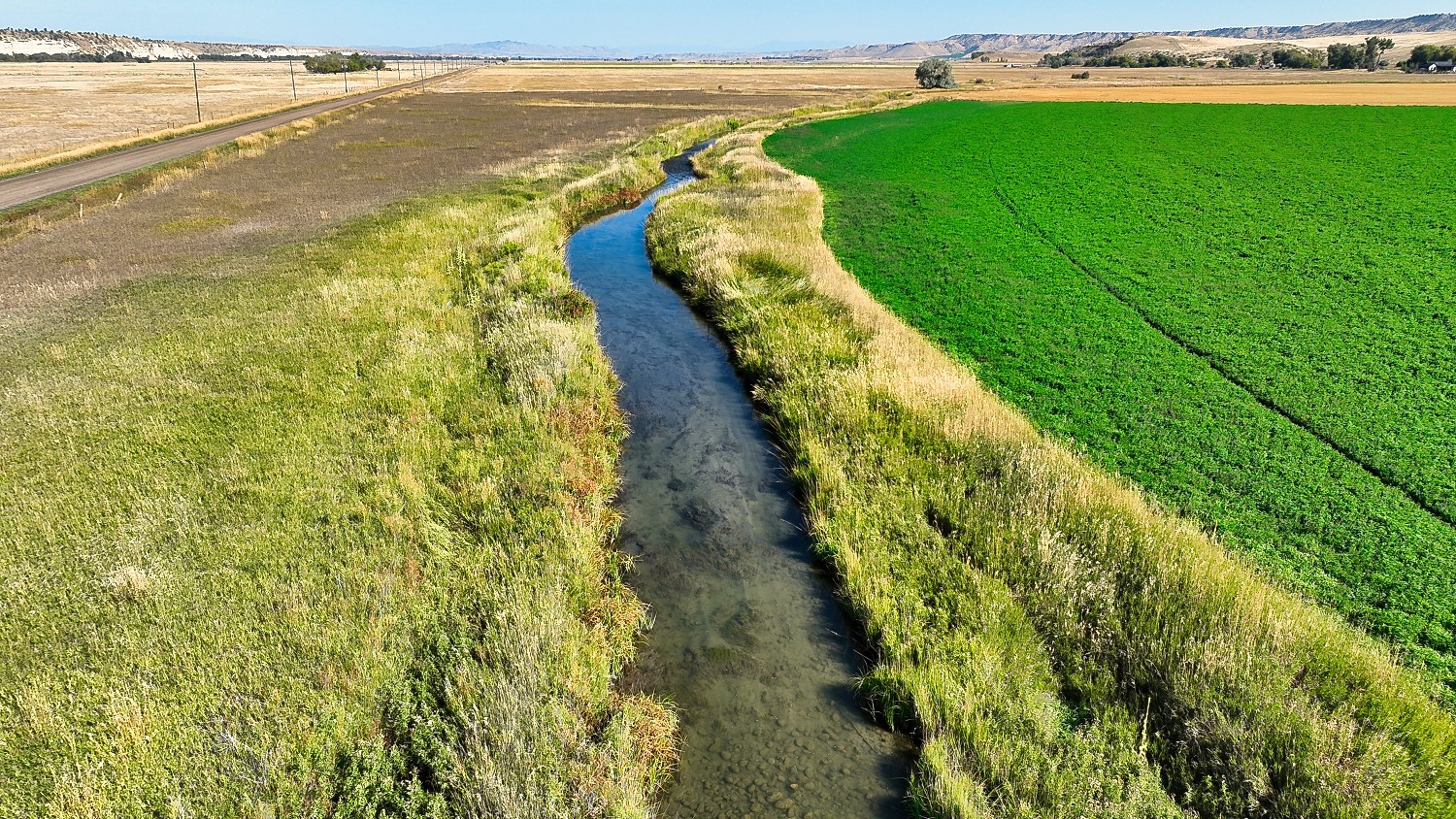 14917 Buffalo Jump Road