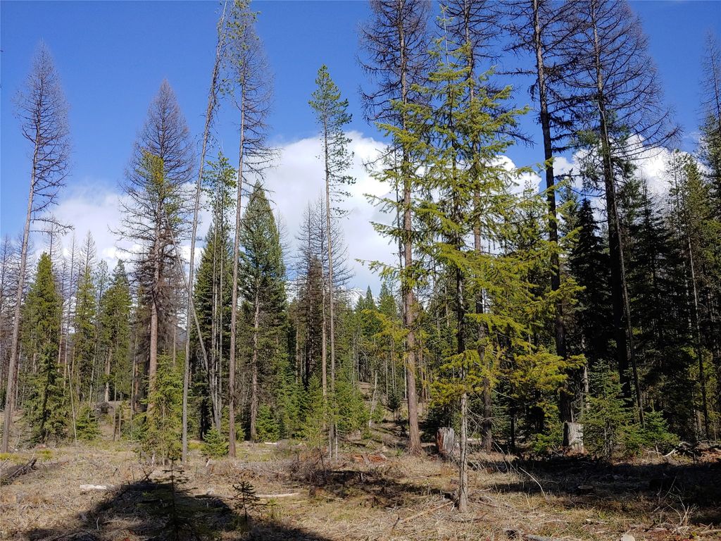 Photo of NHN Off Styler Drive, Condon, MT 59826 (MLS # 30068176)