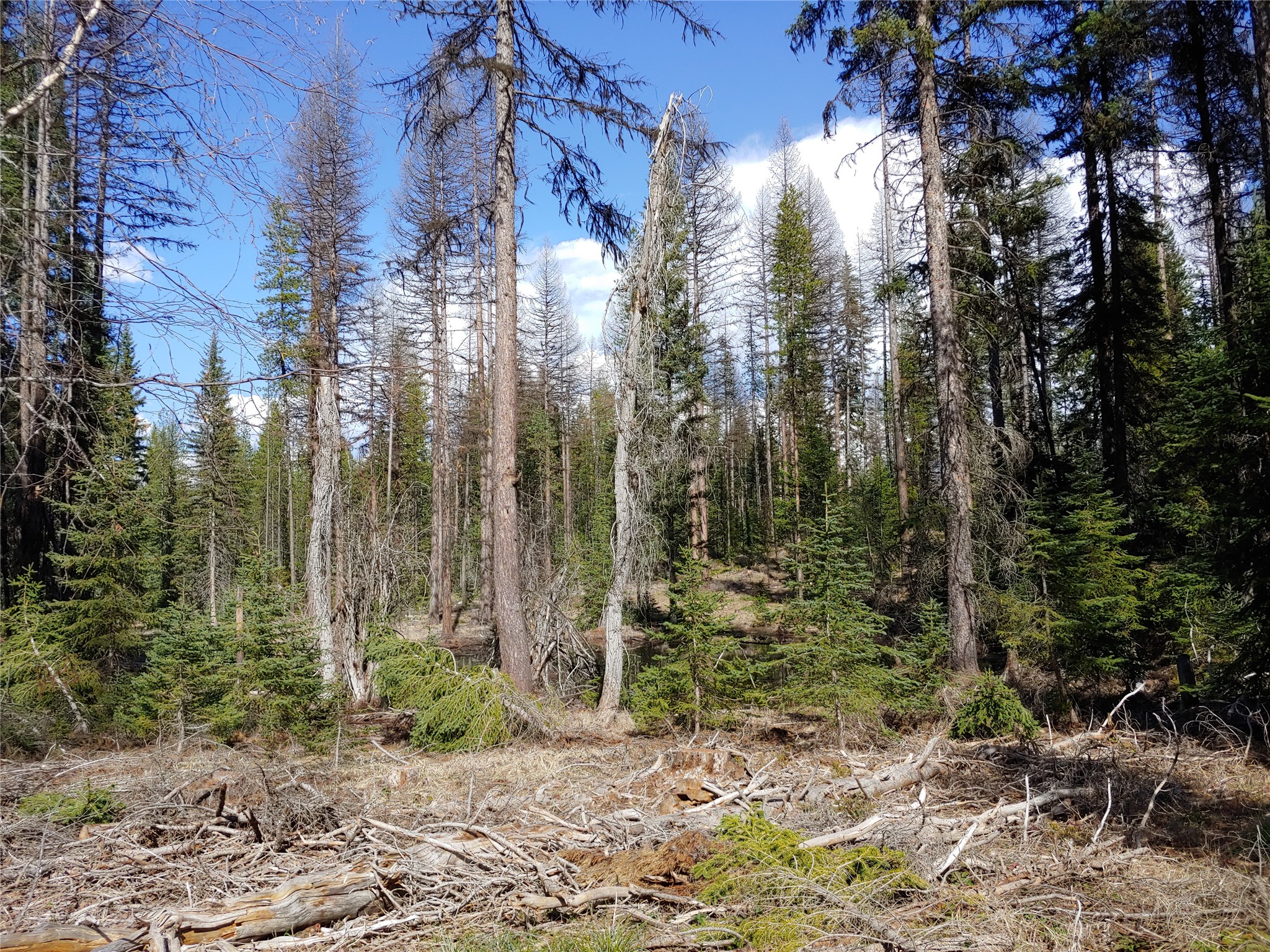 NHN Off Styler Drive