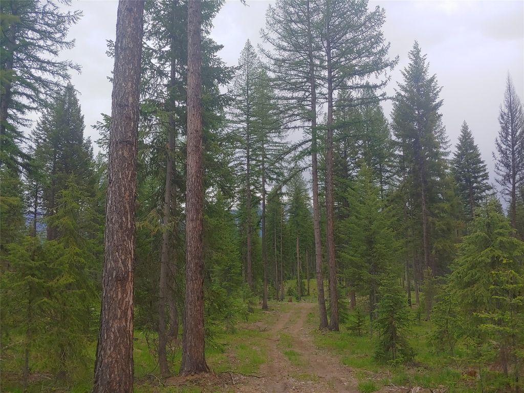 Photo of NHN Off Styler Drive, Condon, MT 59826 (MLS # 30068176)