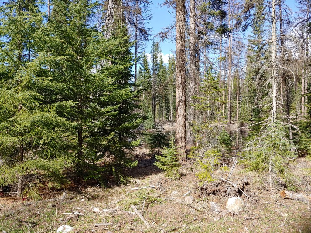 Photo of NHN Off Styler Drive, Condon, MT 59826 (MLS # 30068176)