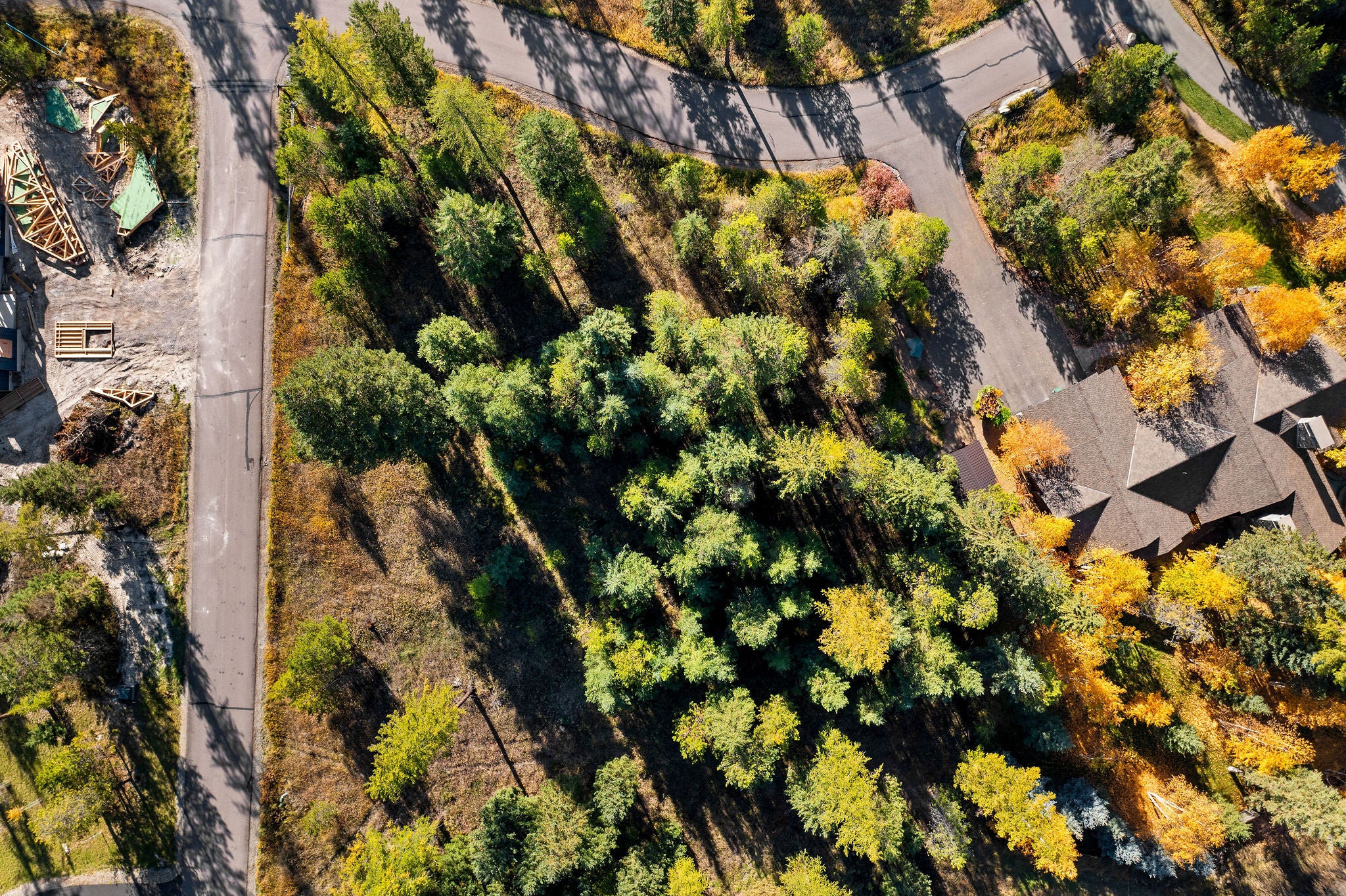 Nhn Bowdrie Trail