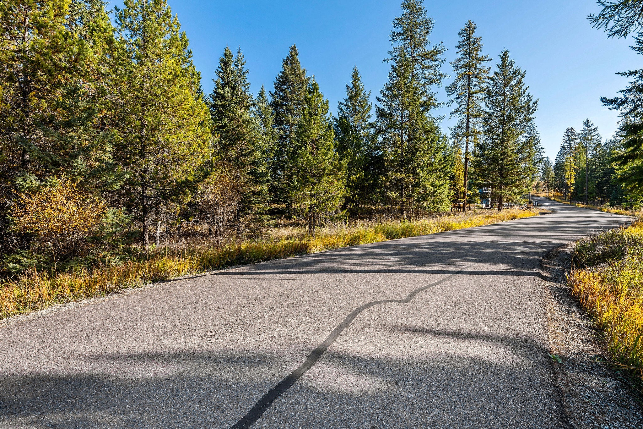 Nhn Bowdrie Trail