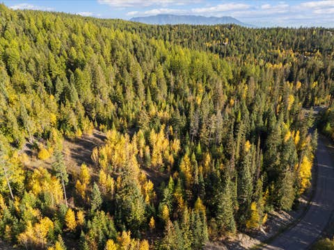 Tiny photo for 201 Woodlandstar Circle, Whitefish, MT 59937 (MLS # 30059686)