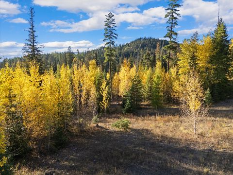 Tiny photo for 201 Woodlandstar Circle, Whitefish, MT 59937 (MLS # 30059686)