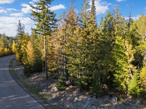 Tiny photo for 201 Woodlandstar Circle, Whitefish, MT 59937 (MLS # 30059686)