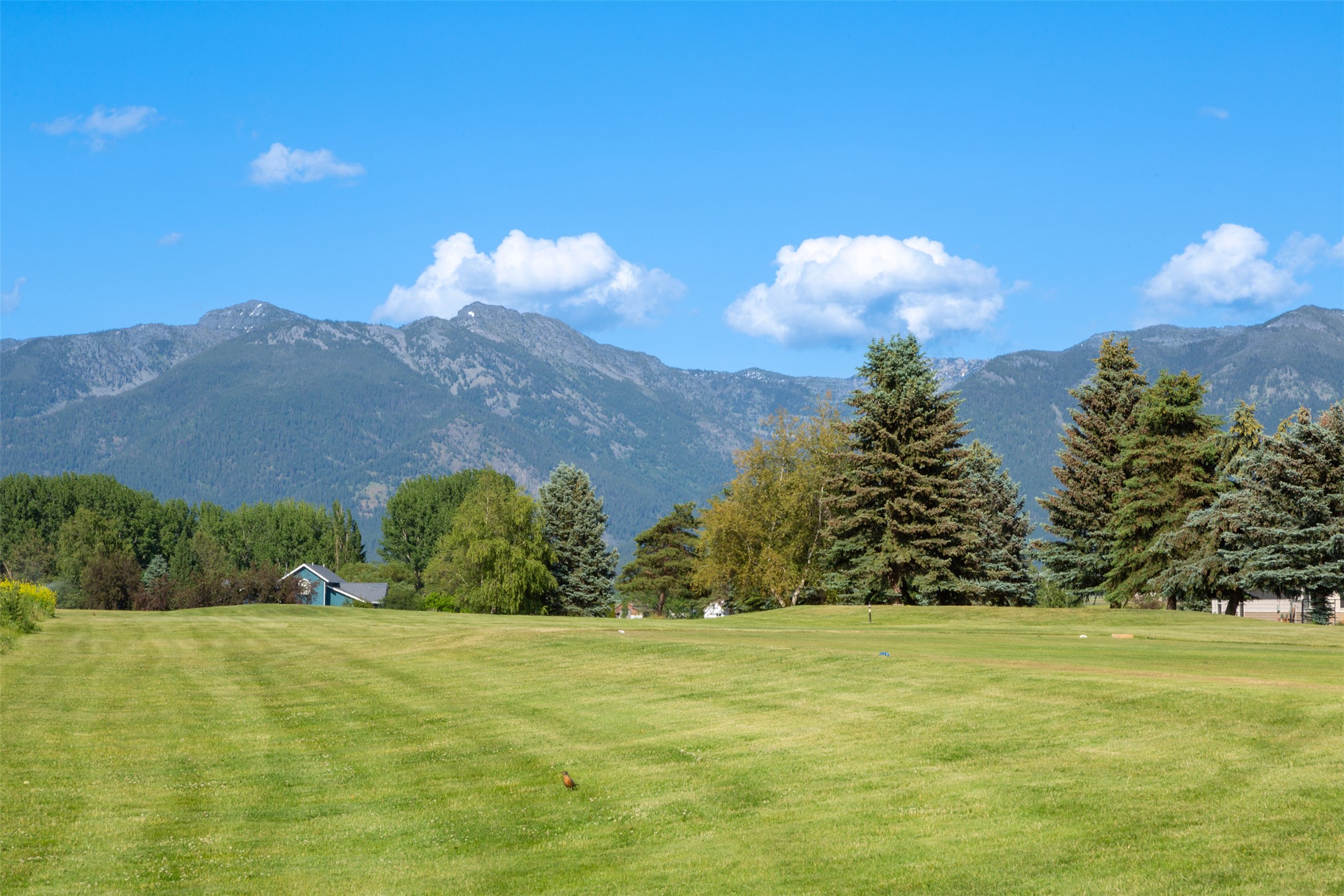 Ronan, Montana 59864, United States, 5 Bedrooms Bedrooms, ,4 BathroomsBathrooms,Residential,Active,154395