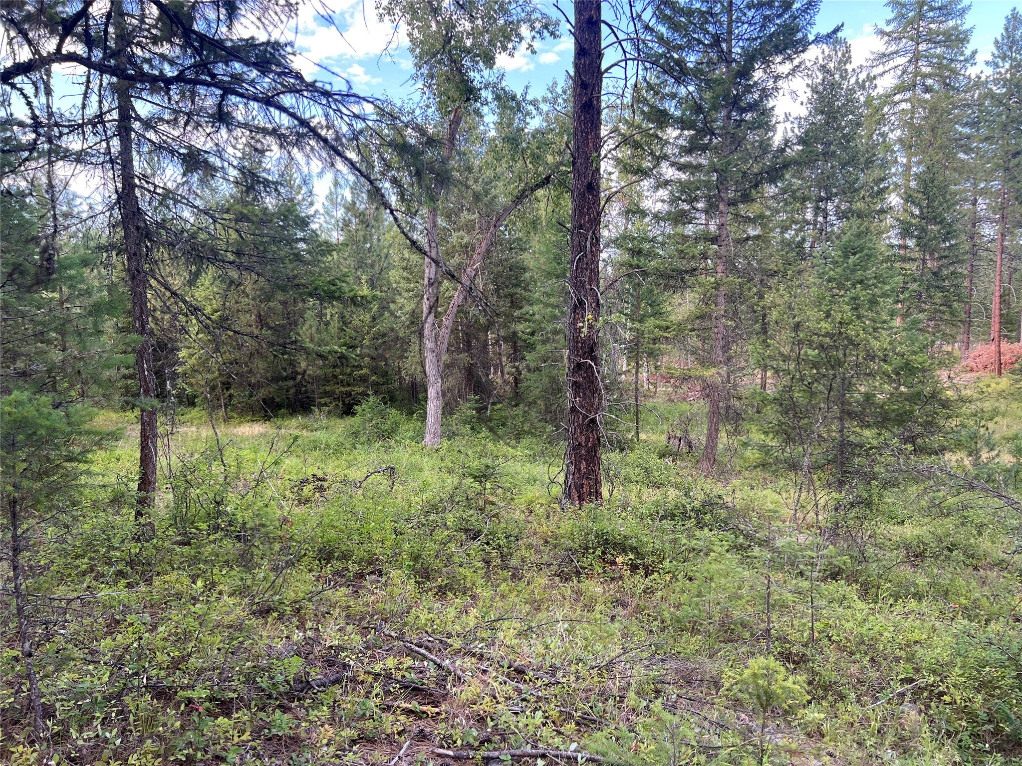 TBD Granite Lake Road 6