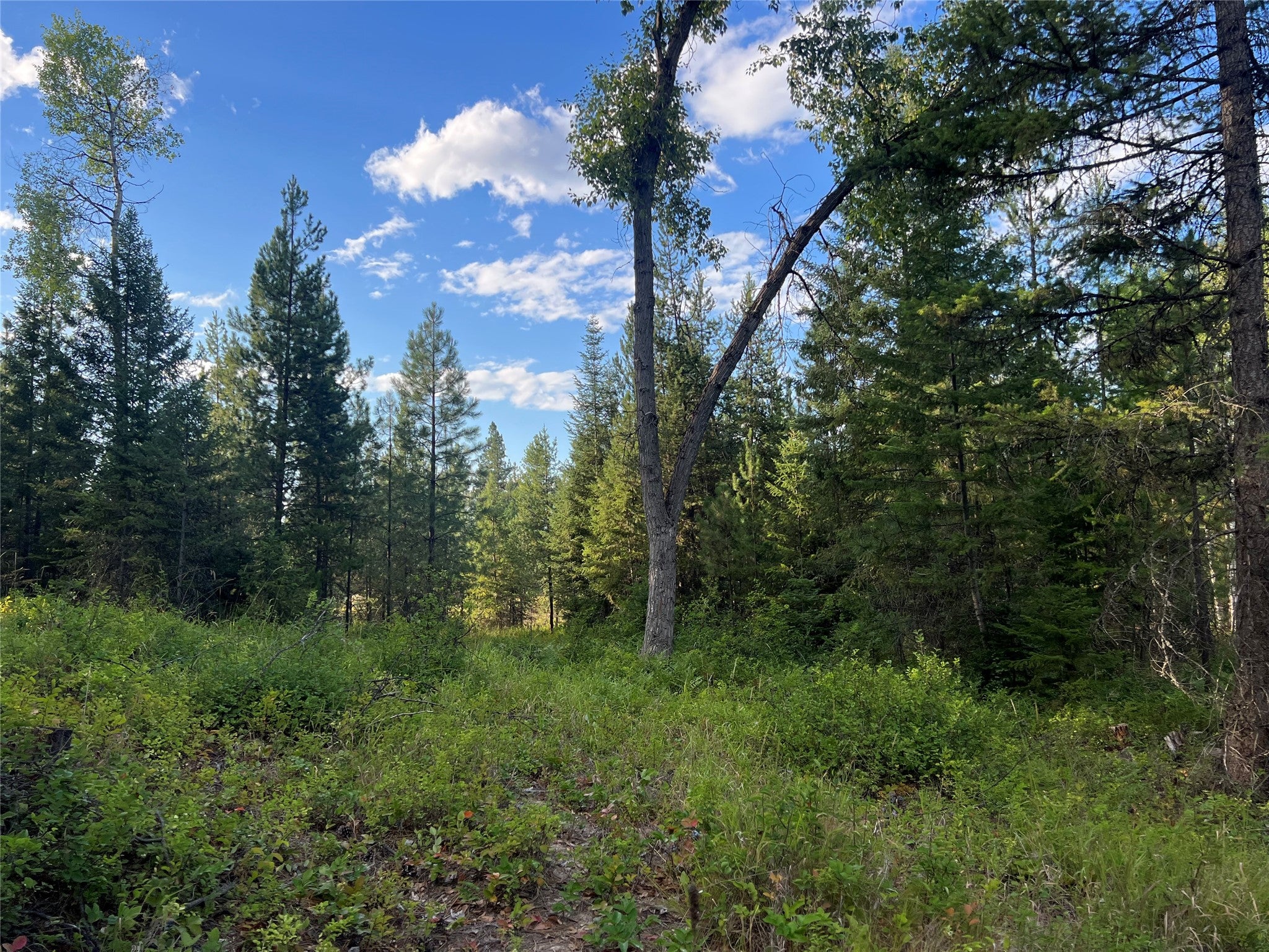 TBD Granite Lake Road 6