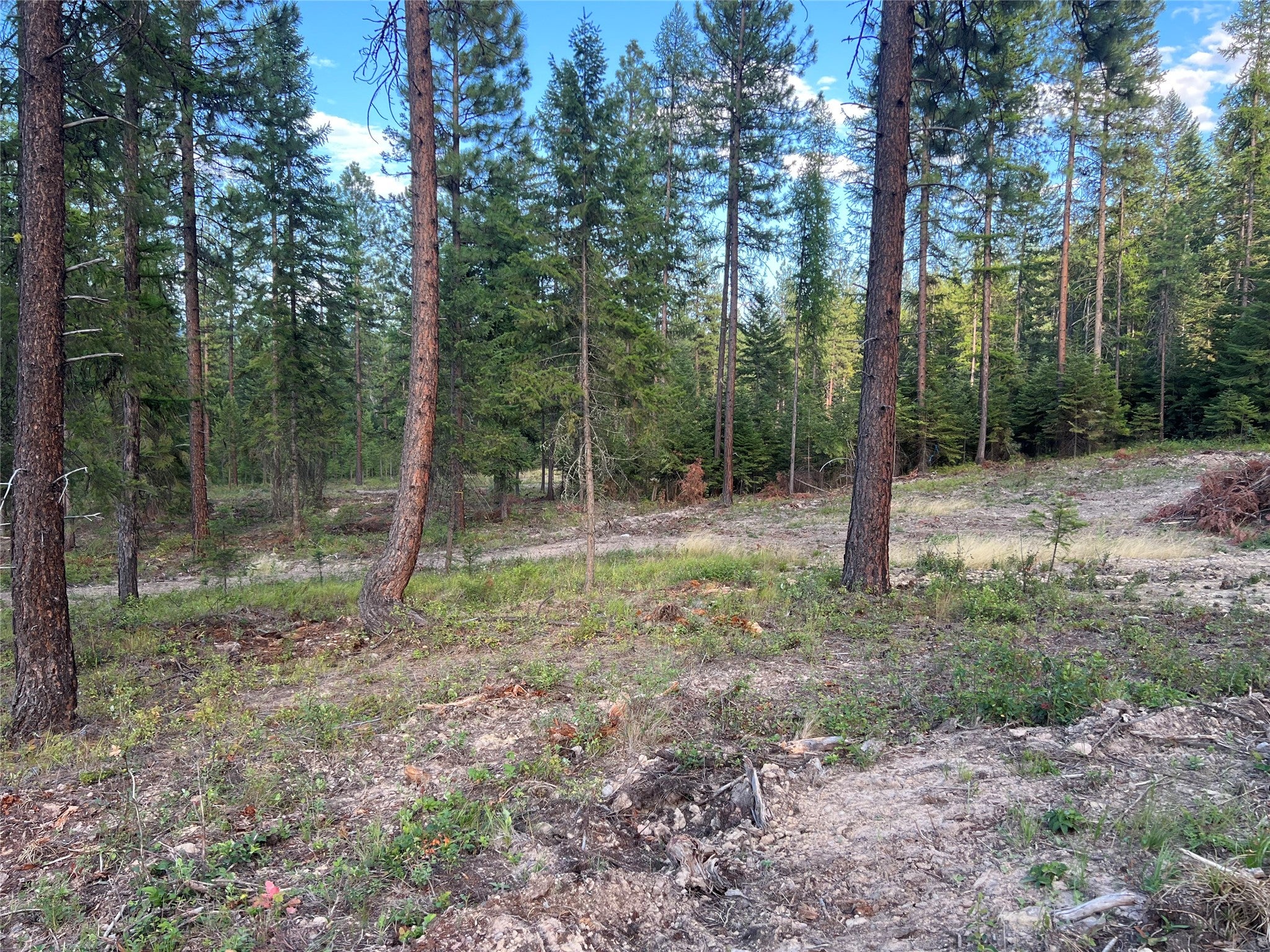 TBD Granite Lake Road 6