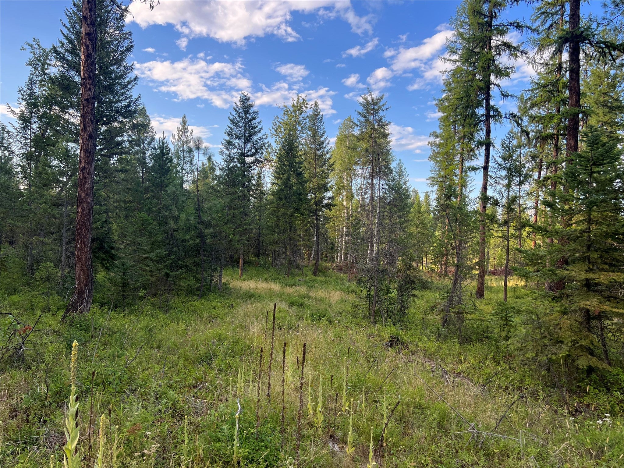 TBD Granite Lake Road 6