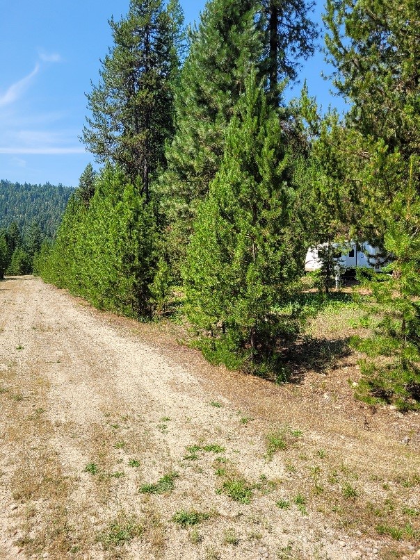 29 Twin Creeks Court