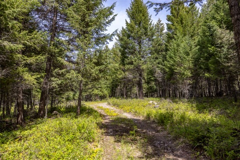 Tiny photo for 180 Squirrel Lane, Whitefish, MT 59937 (MLS # 30071807)