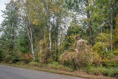 Photo of 36 13th Street E, Columbia Falls, MT 59912 (MLS # 30060840)