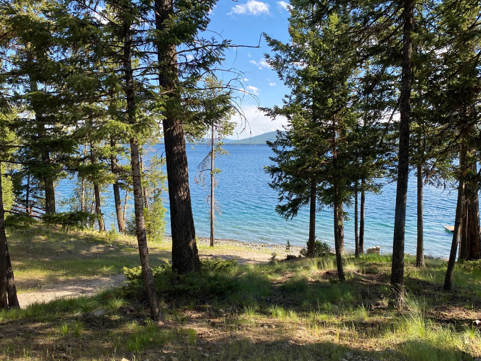 227 Lodgepole Drive